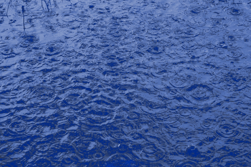 Regenpfütze Regenpfütze